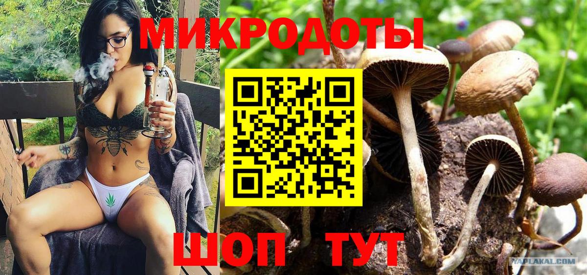 Псилоцибиновые грибы Cubensis  Вход с VPN  Благодарный 